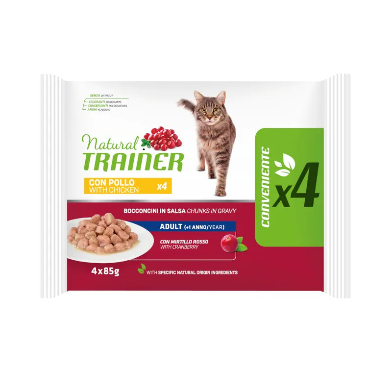 Natural Trainer Cat Wet Flowpack