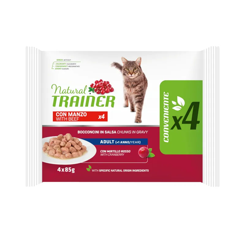 Natural Trainer Cat Wet Flowpack