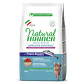 Natural Trainer Cat Exigent Secco