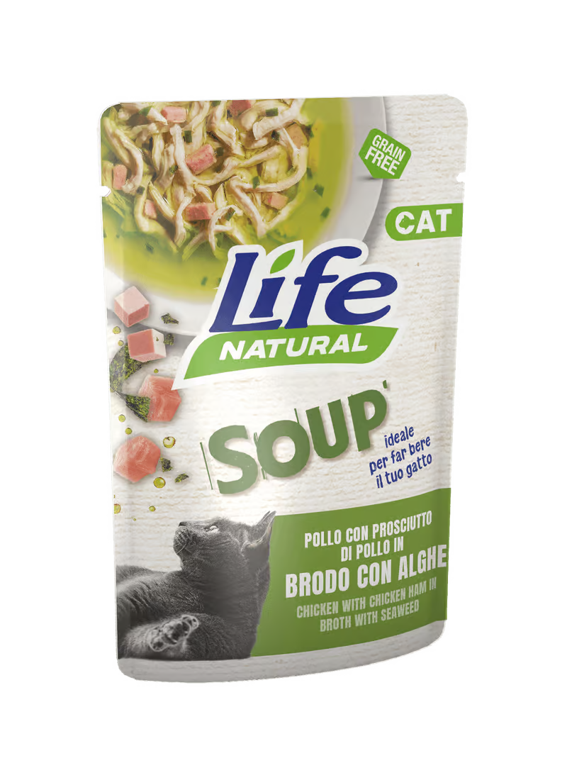 Life Natural Soup Gatto