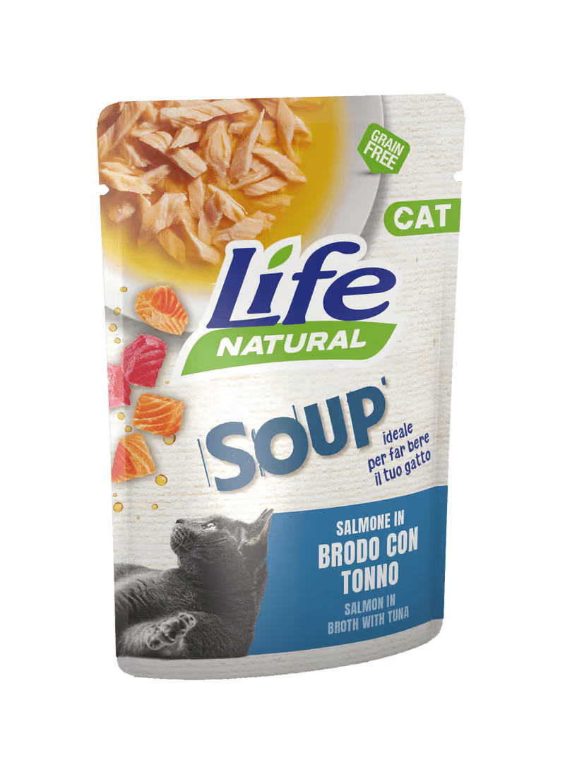 Life Natural Soup Gatto