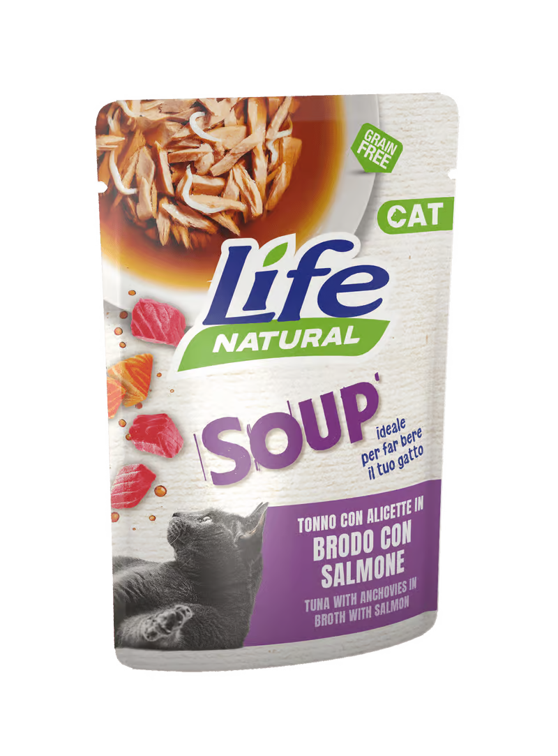 Life Natural Soup Gatto