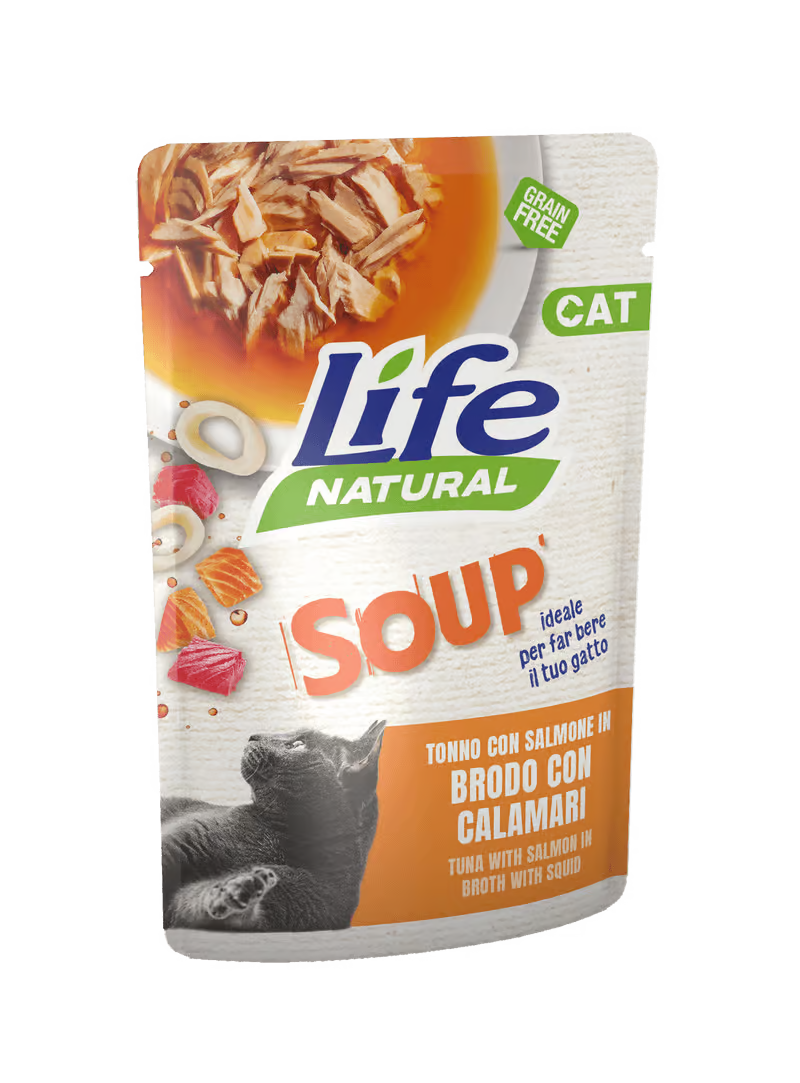 Life Natural Soup Gatto